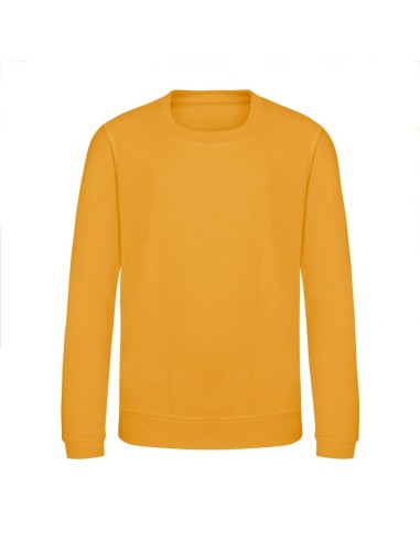 A-AWJH030J-KIDS AWDIS SWEAT